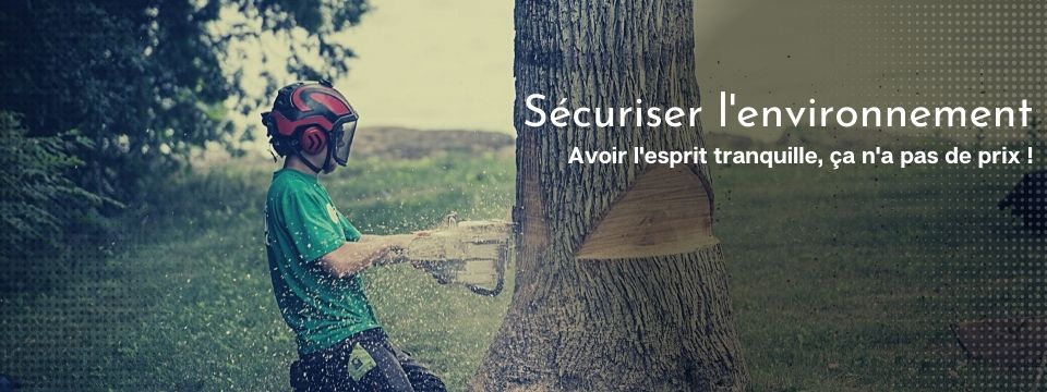 Émondage d'arbre au Québec - Arboriculteur certifié au Québec