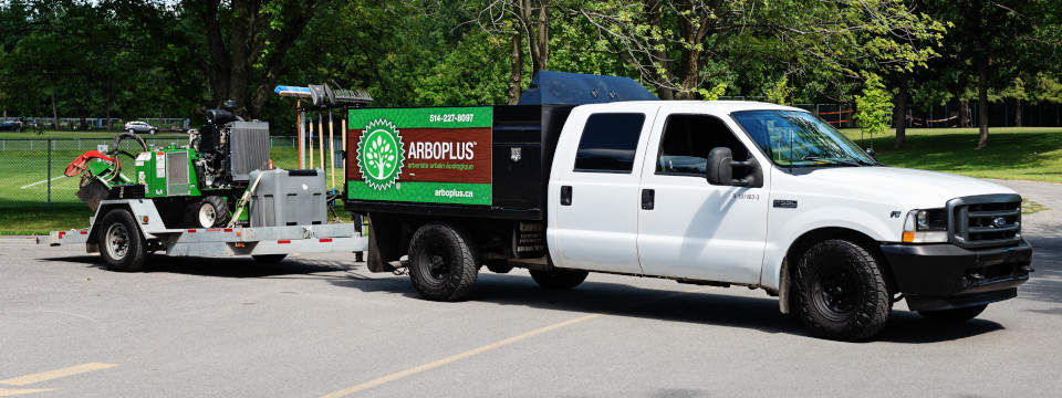 Camion à benne arboricole pour essouchage : Ford F350