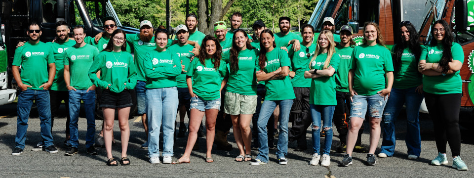 Équipe d'arboriculteur certifié au Québec