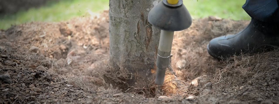 Root Collar Excavation in Quebec – AirSpade Service